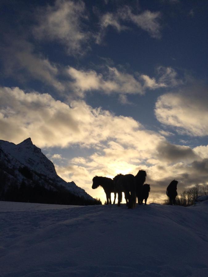 Flo Lofoten Nature Escape Valberg 外观 照片